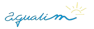 logo 100